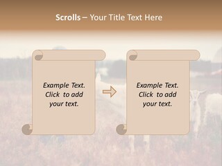 The Boy Feeds The Goat PowerPoint Template
