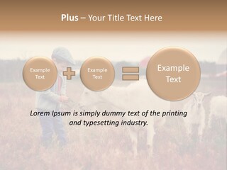 The Boy Feeds The Goat PowerPoint Template