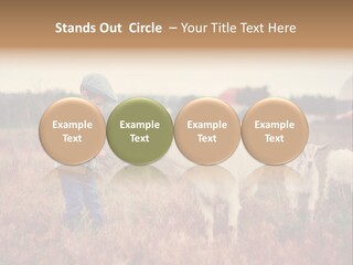 The Boy Feeds The Goat PowerPoint Template