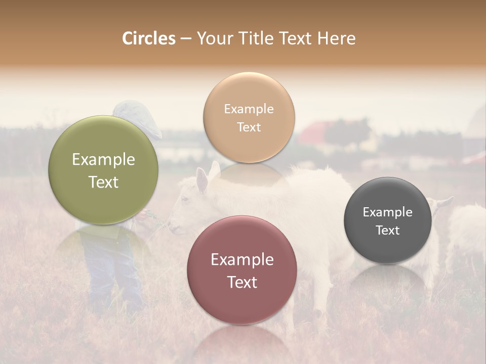 The Boy Feeds The Goat PowerPoint Template