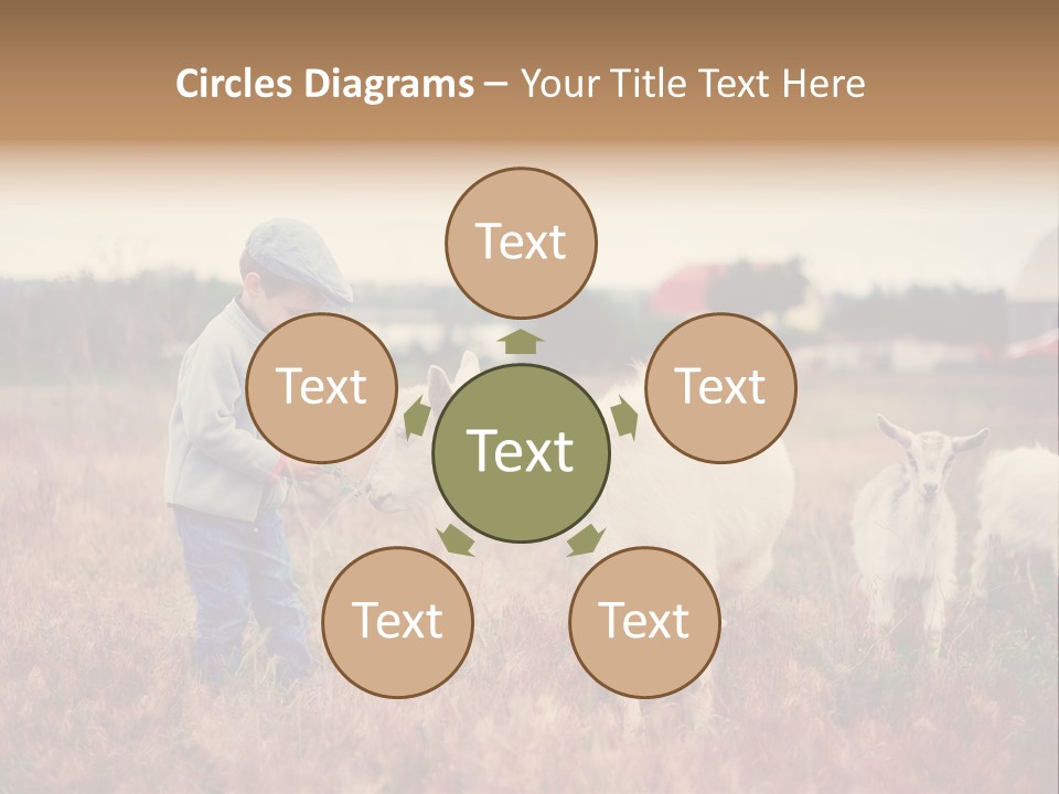 The Boy Feeds The Goat PowerPoint Template