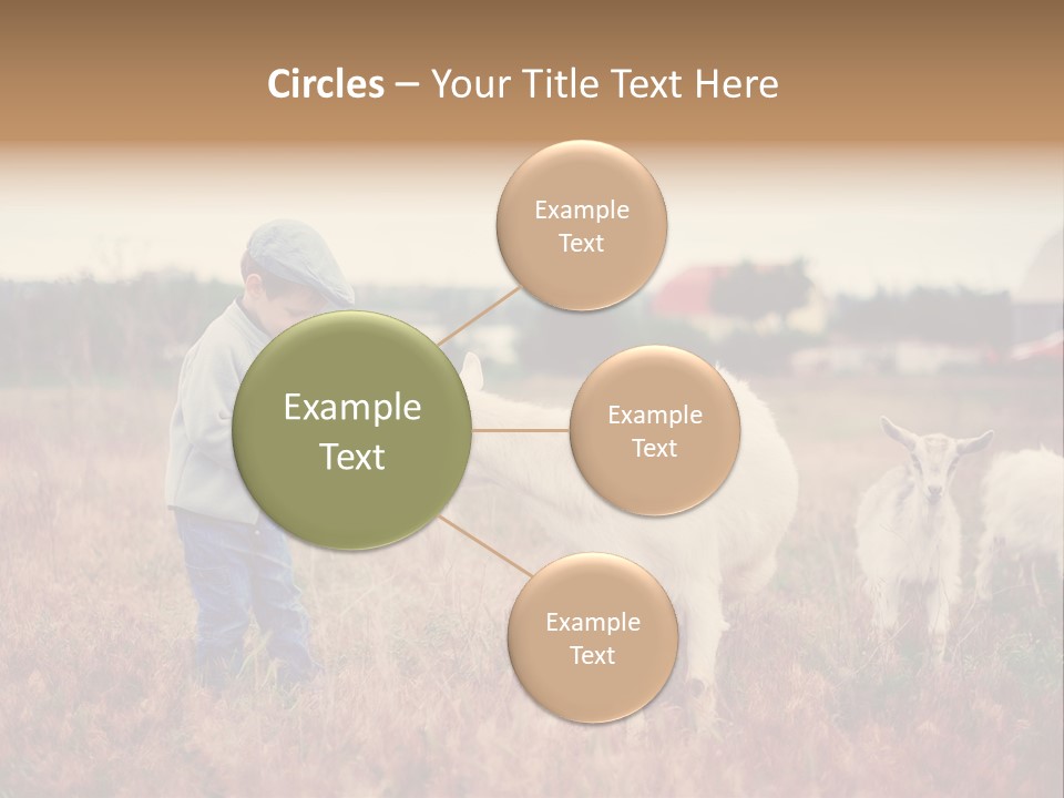 The Boy Feeds The Goat PowerPoint Template