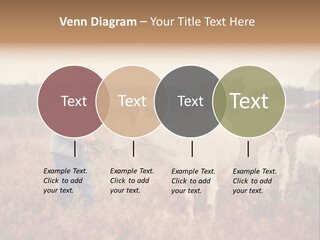 The Boy Feeds The Goat PowerPoint Template