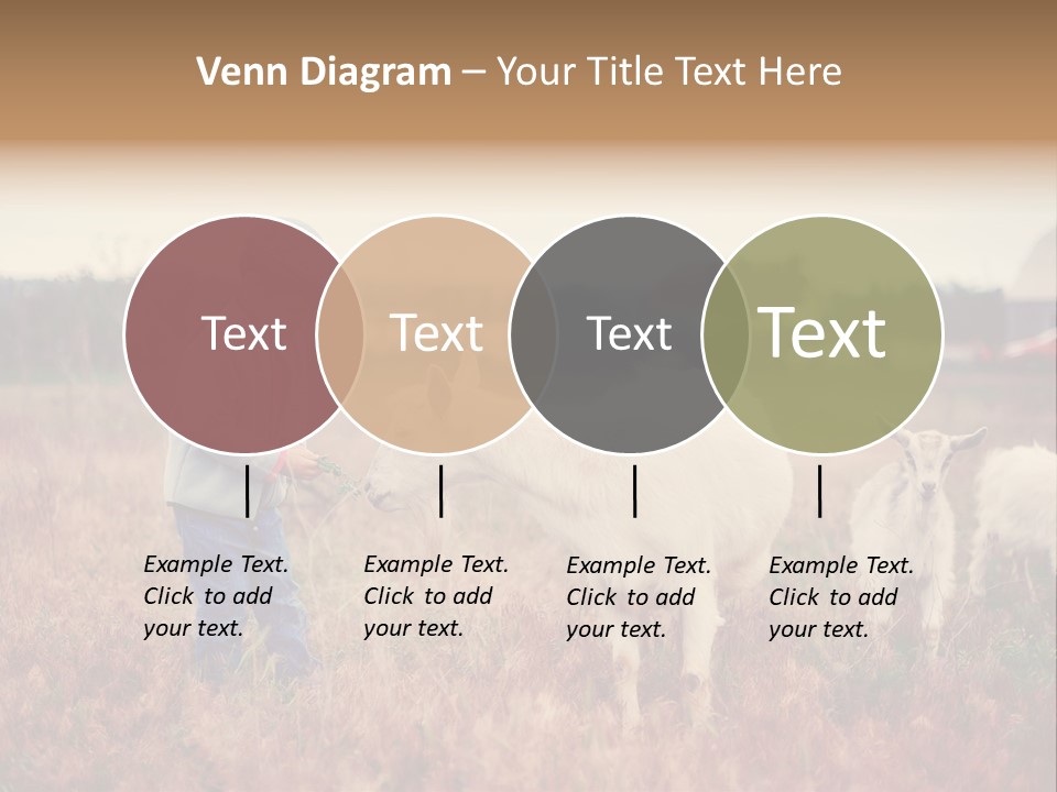 The Boy Feeds The Goat PowerPoint Template