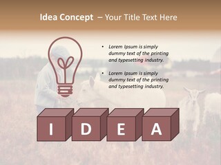 The Boy Feeds The Goat PowerPoint Template