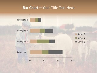The Boy Feeds The Goat PowerPoint Template