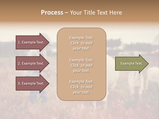 The Boy Feeds The Goat PowerPoint Template