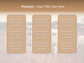 The Boy Feeds The Goat PowerPoint Template