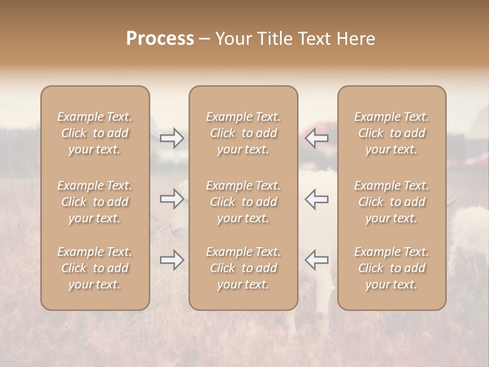 The Boy Feeds The Goat PowerPoint Template