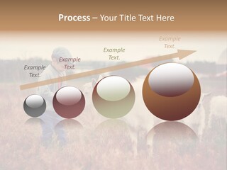 The Boy Feeds The Goat PowerPoint Template