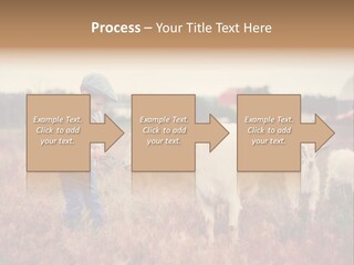 The Boy Feeds The Goat PowerPoint Template