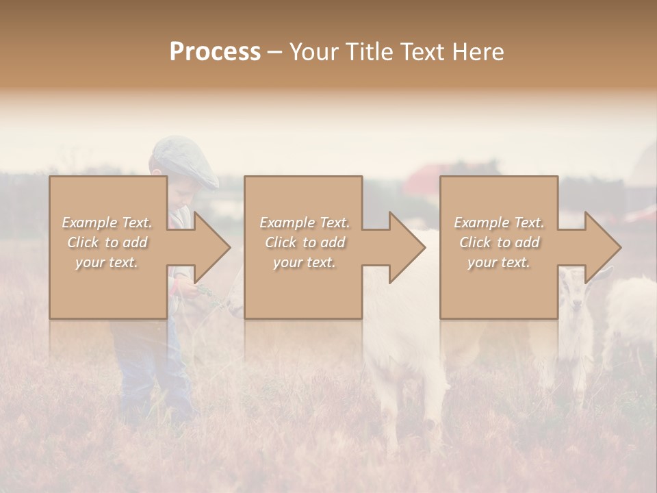 The Boy Feeds The Goat PowerPoint Template