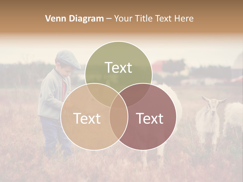 The Boy Feeds The Goat PowerPoint Template