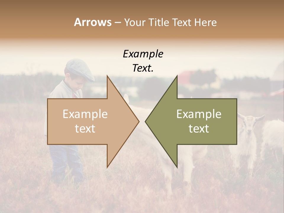 The Boy Feeds The Goat PowerPoint Template