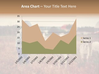 The Boy Feeds The Goat PowerPoint Template