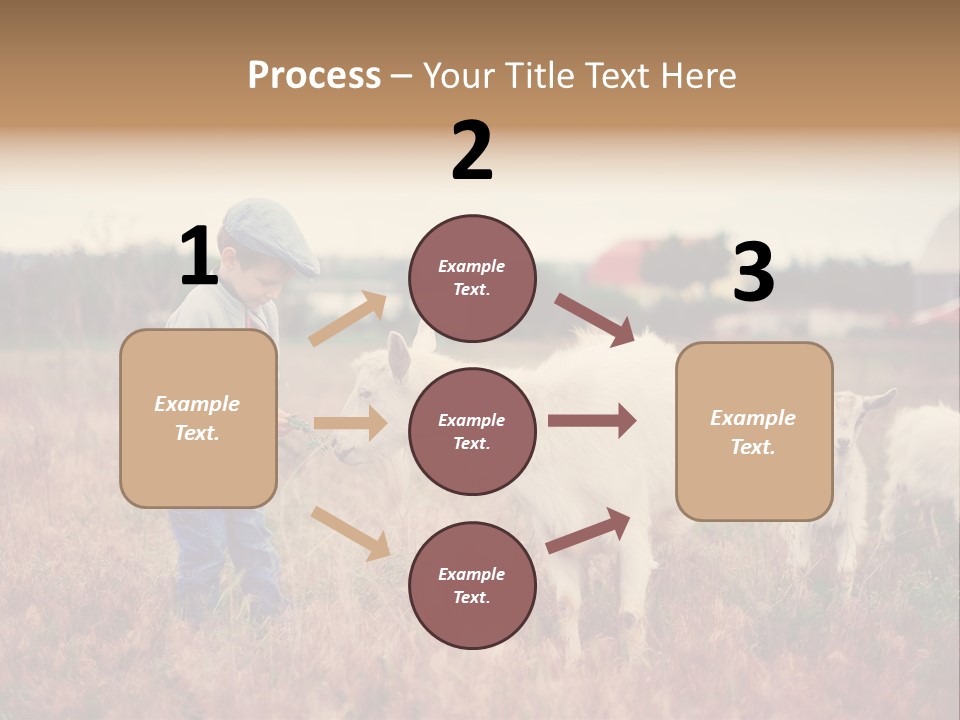 The Boy Feeds The Goat PowerPoint Template