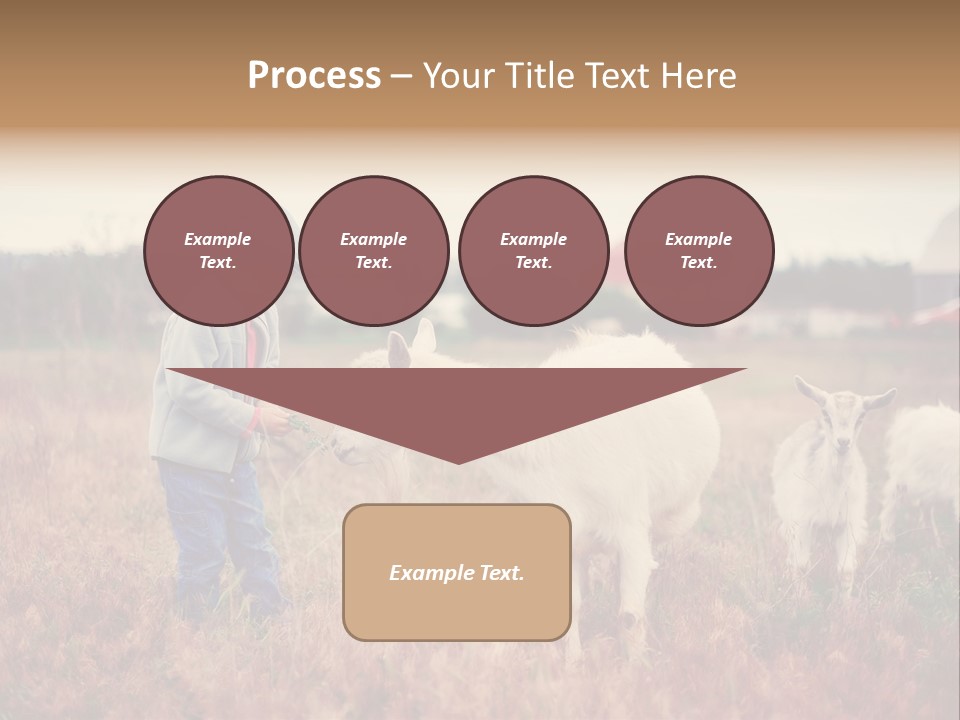 The Boy Feeds The Goat PowerPoint Template