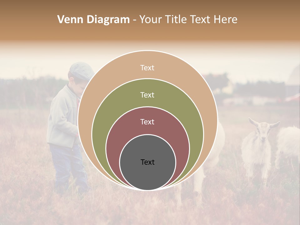 The Boy Feeds The Goat PowerPoint Template