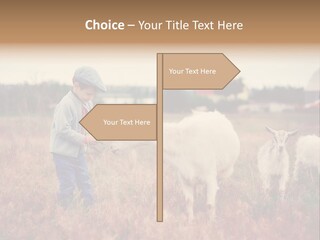 The Boy Feeds The Goat PowerPoint Template