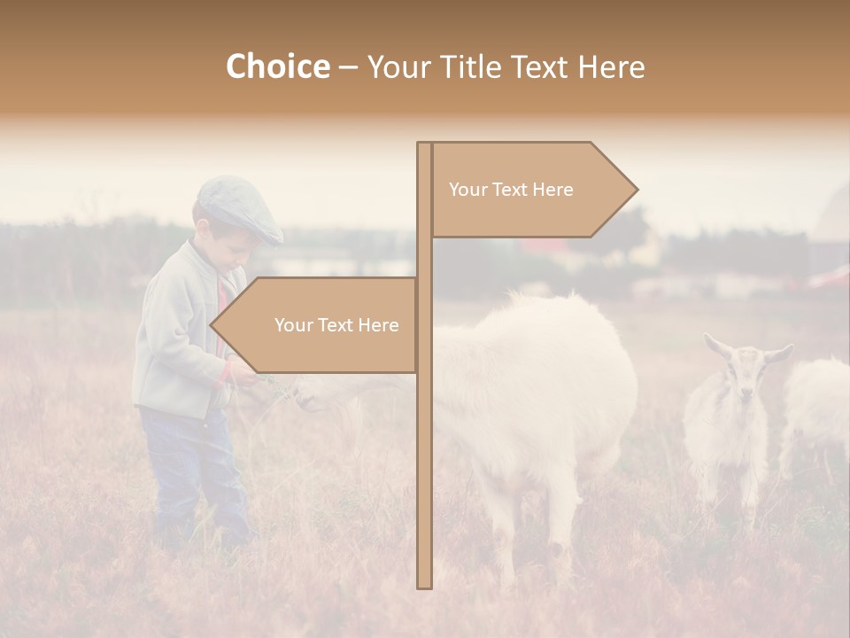 The Boy Feeds The Goat PowerPoint Template