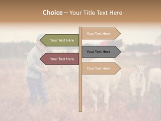 The Boy Feeds The Goat PowerPoint Template