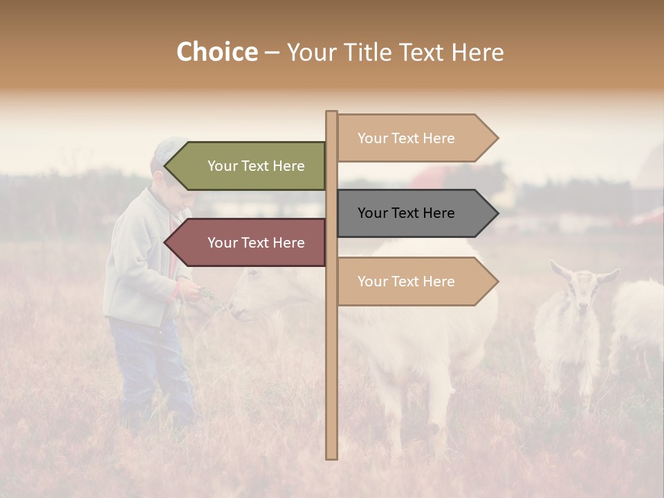The Boy Feeds The Goat PowerPoint Template