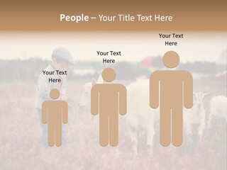 The Boy Feeds The Goat PowerPoint Template