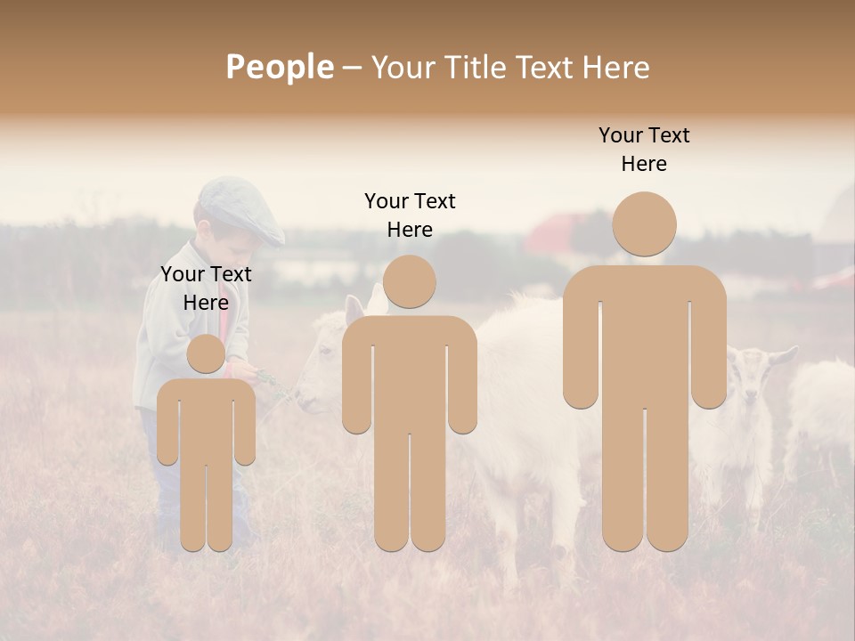 The Boy Feeds The Goat PowerPoint Template