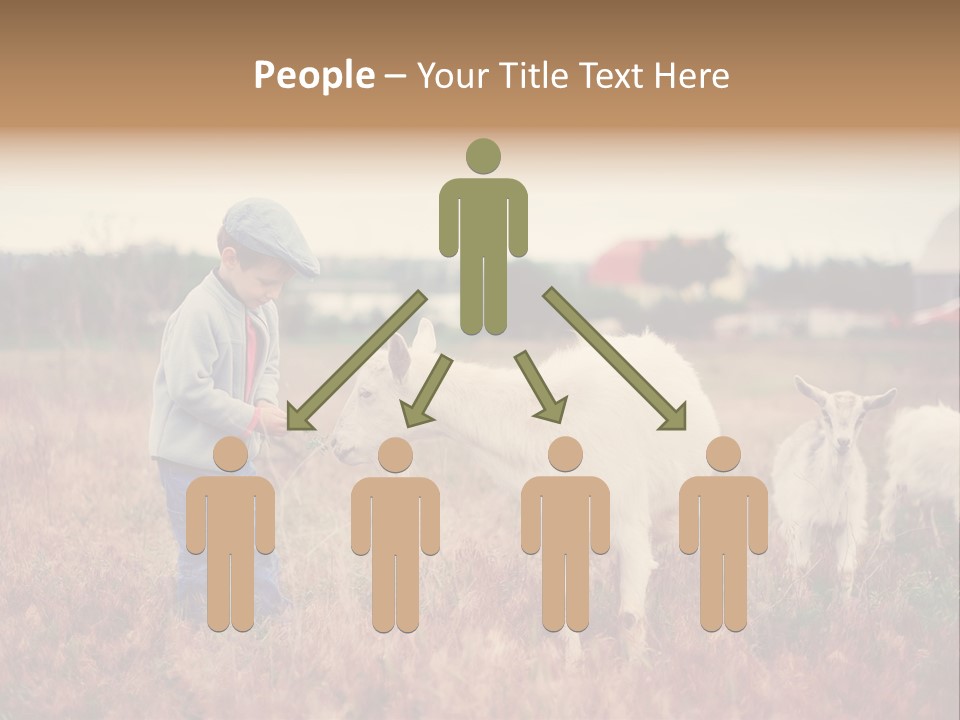 The Boy Feeds The Goat PowerPoint Template