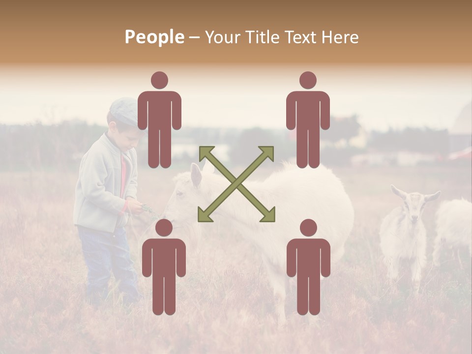 The Boy Feeds The Goat PowerPoint Template