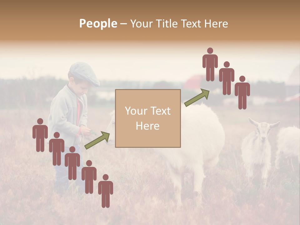 The Boy Feeds The Goat PowerPoint Template