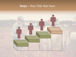 The Boy Feeds The Goat PowerPoint Template