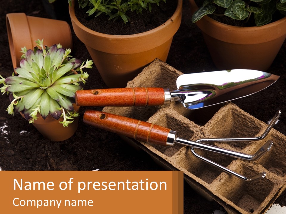 Hand Tools For Flowerpots PowerPoint Template
