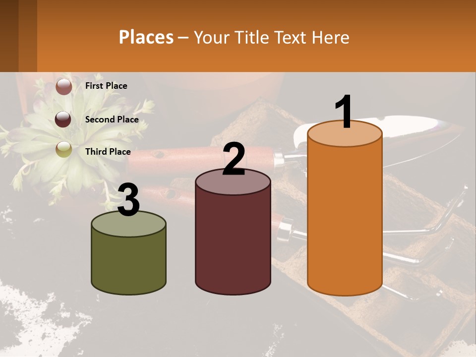Hand Tools For Flowerpots PowerPoint Template