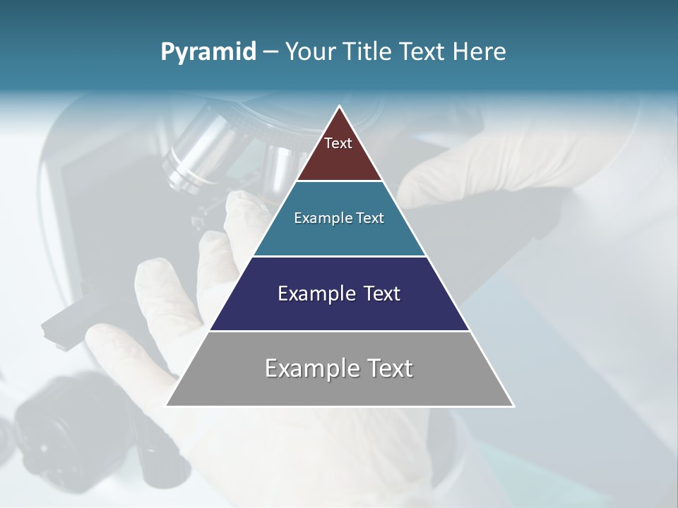 Examination Under A Microscope PowerPoint Template