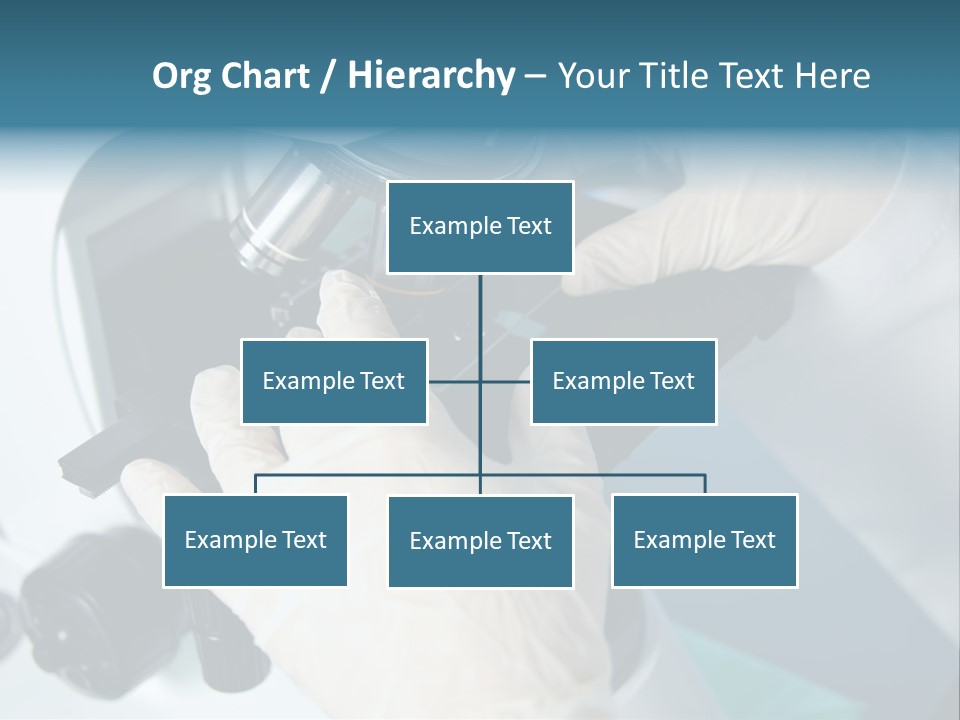 Examination Under A Microscope PowerPoint Template
