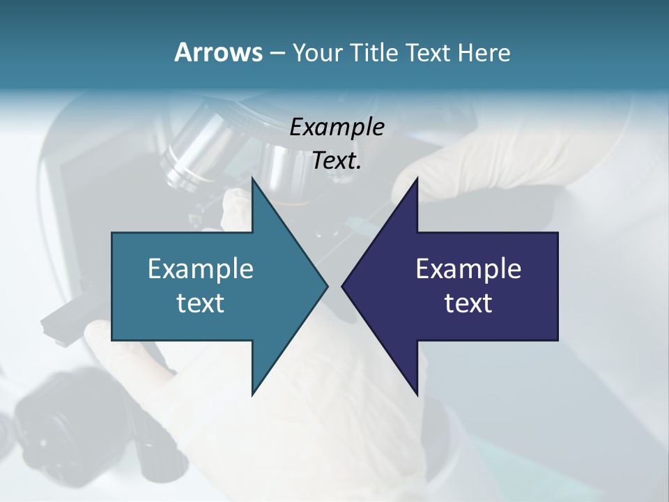 Examination Under A Microscope PowerPoint Template