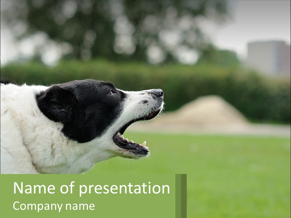 Barking Dog PowerPoint Template