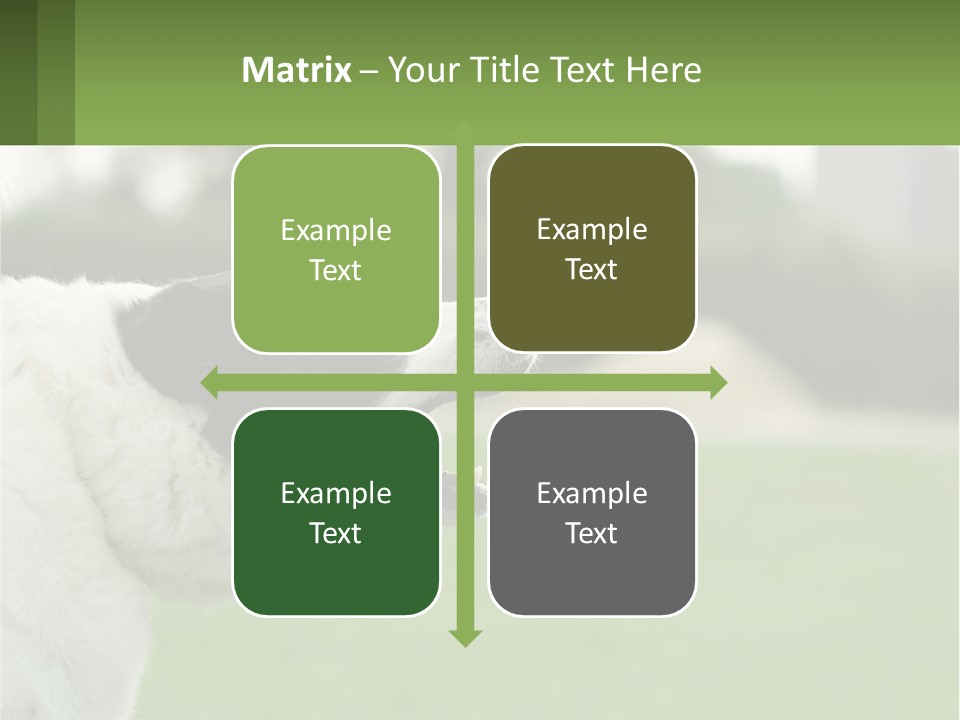 Barking Dog PowerPoint Template