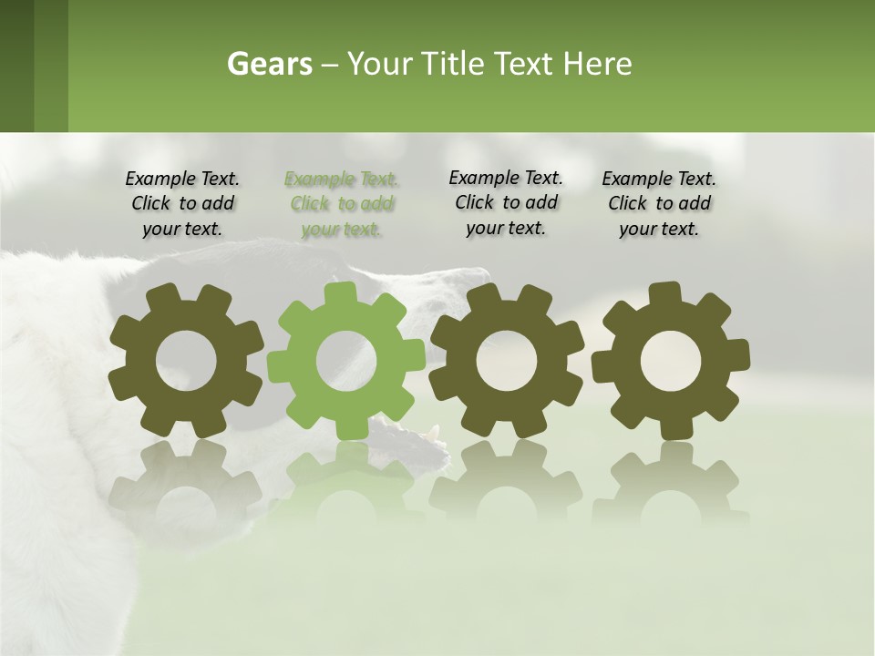 Barking Dog PowerPoint Template