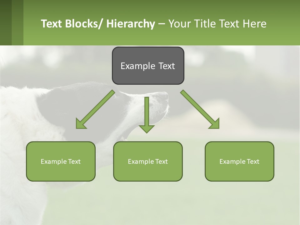 Barking Dog PowerPoint Template