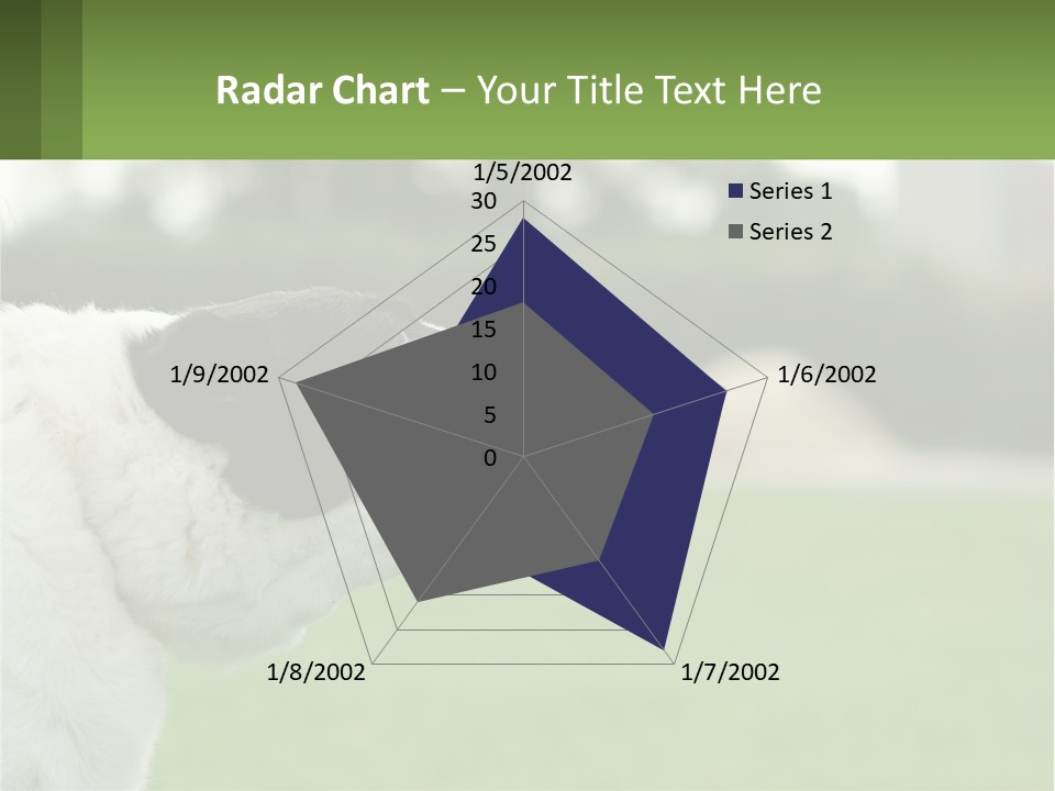 Barking Dog PowerPoint Template
