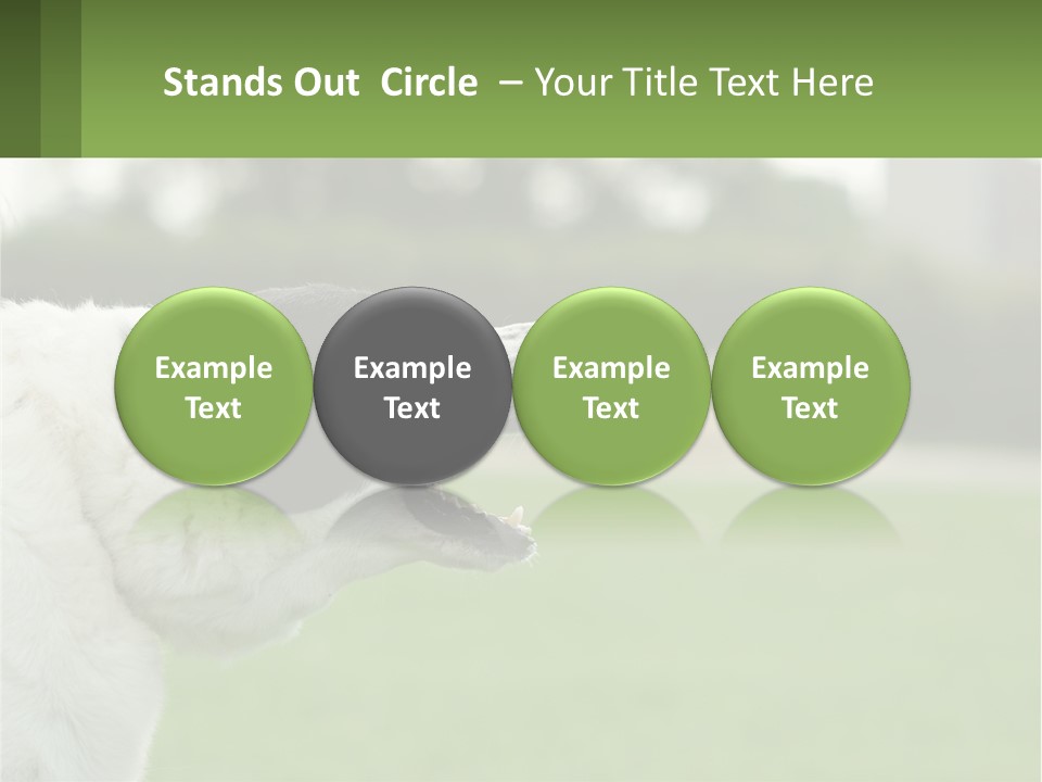 Barking Dog PowerPoint Template