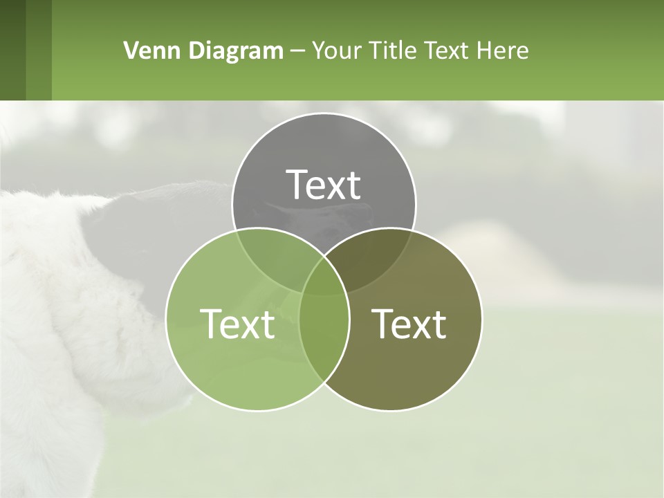 Barking Dog PowerPoint Template