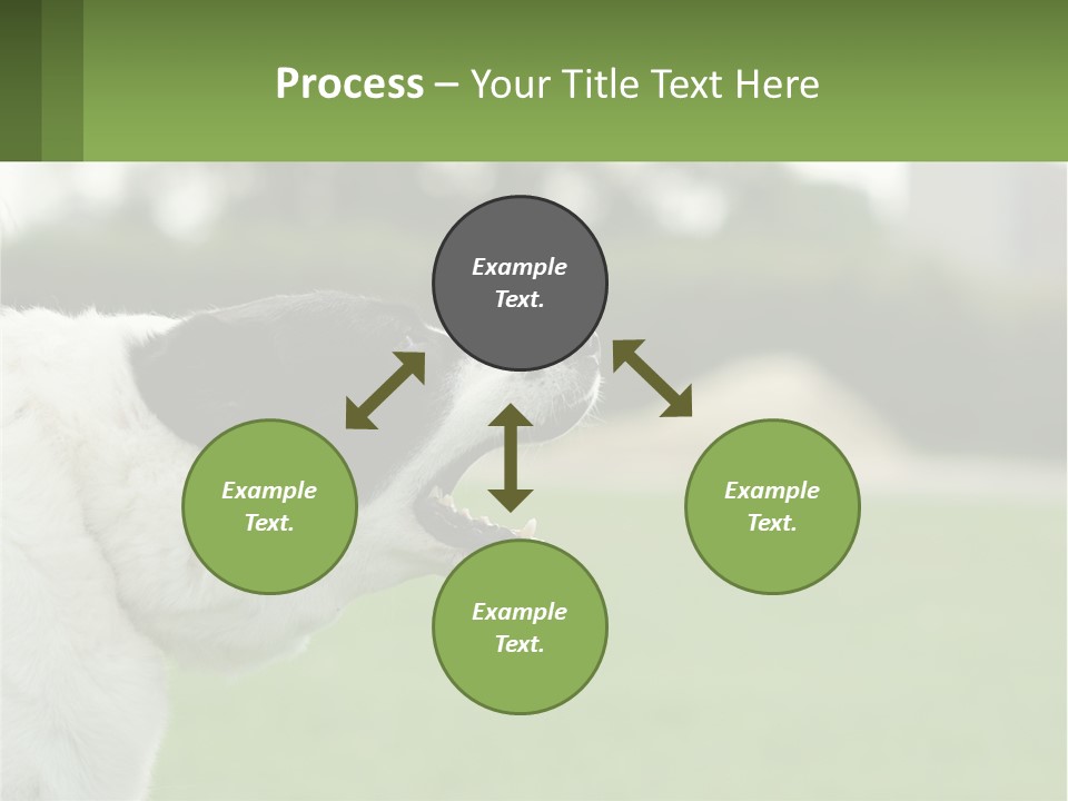 Barking Dog PowerPoint Template