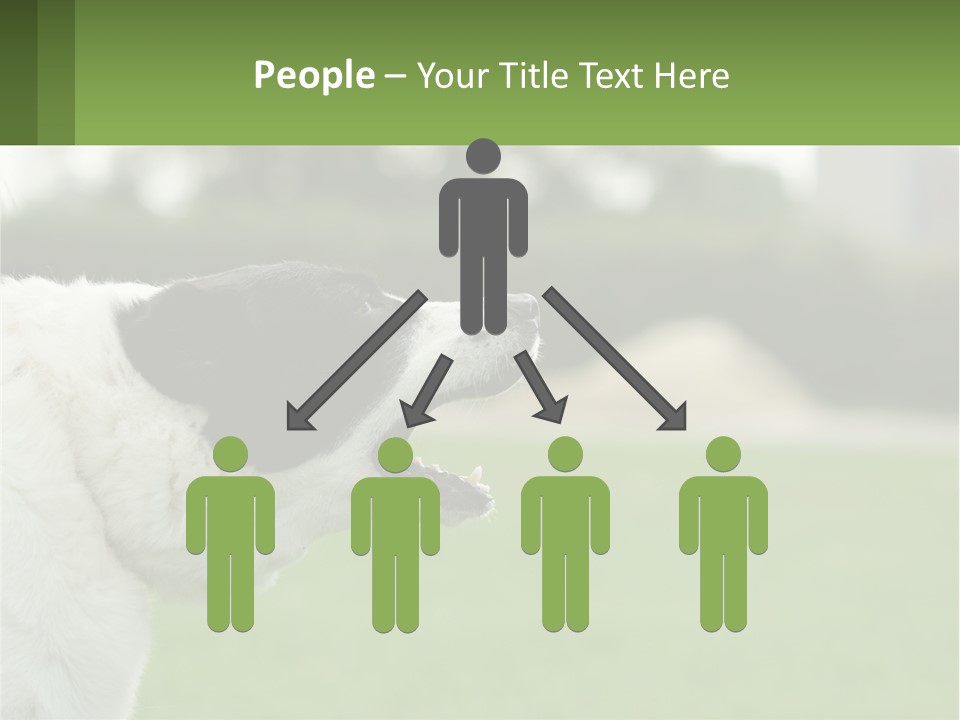 Barking Dog PowerPoint Template