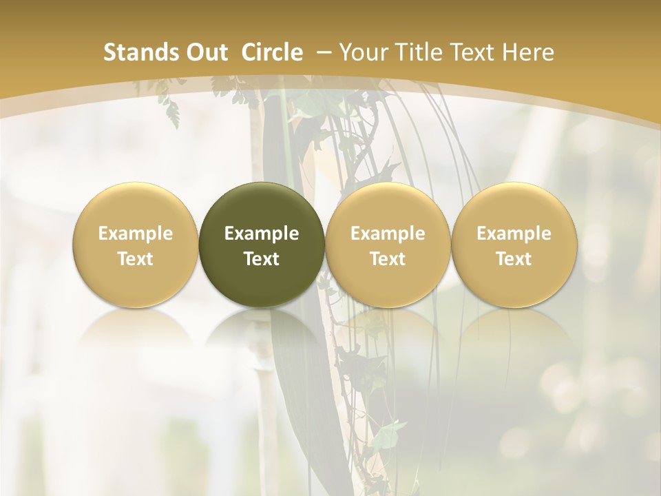 Flowers PowerPoint Template