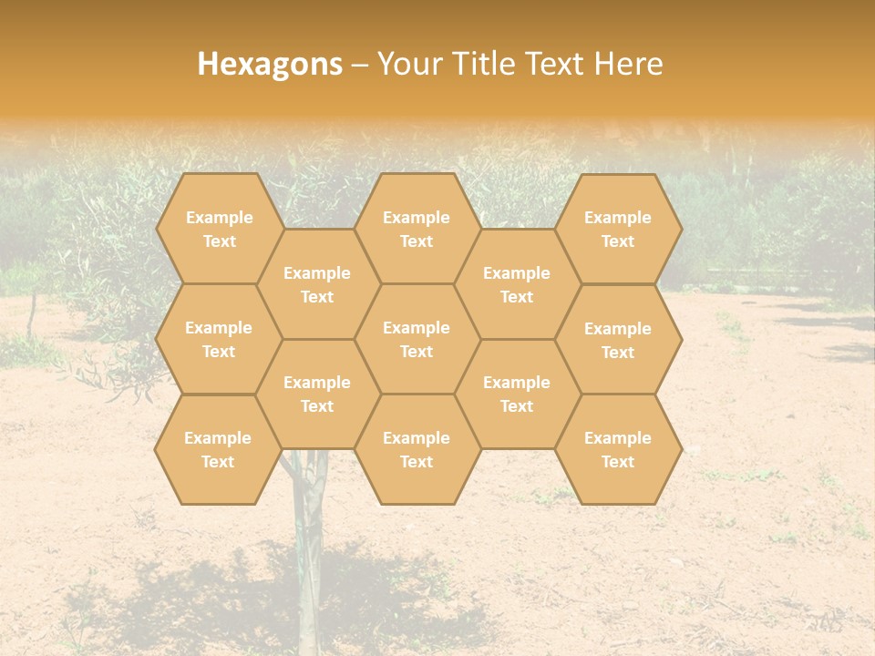 Garden PowerPoint Template