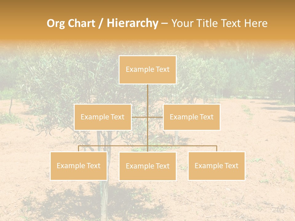 Garden PowerPoint Template