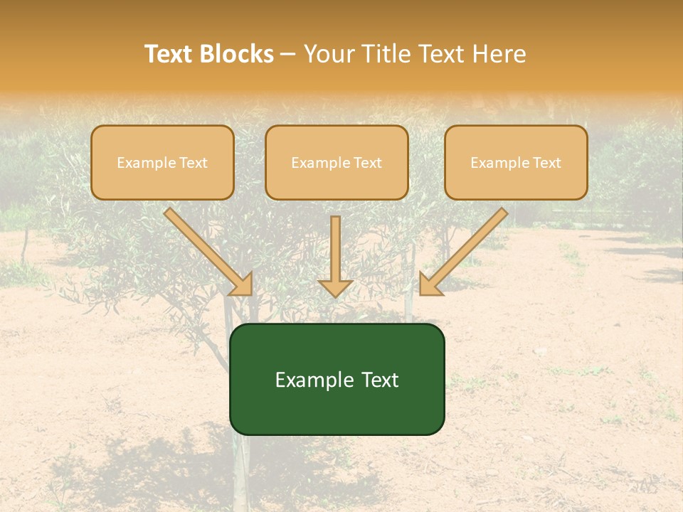 Garden PowerPoint Template